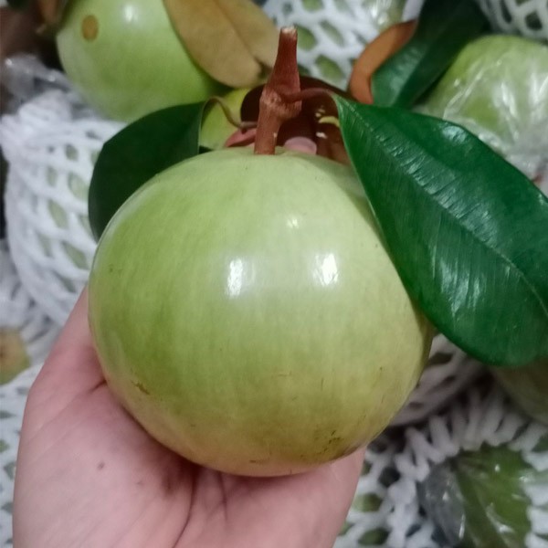 (HỘ KINH DOANH) NGUYỄN THỊ THU CÚC