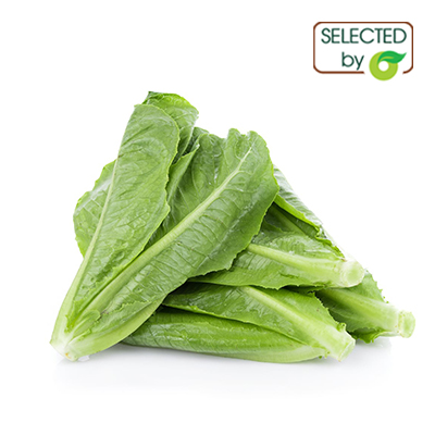 (HỘ KINH DOANH) NGUYỄN THỊ THU CÚC