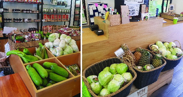 (HỘ KINH DOANH) NGUYỄN THỊ THU CÚC